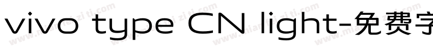 vivo type CN light字体转换